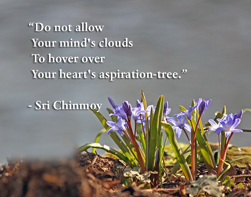 do-not-allow-your-minds-clouds